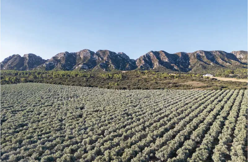 AVDC-Demo-06 Les alpilles vue du ciel